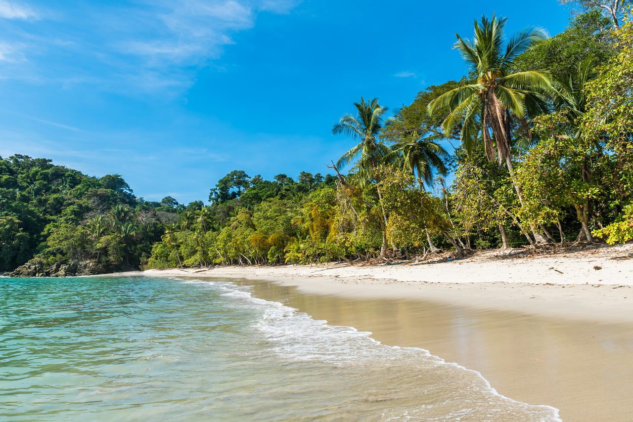 Buena Vista Beach Villas Manuel Antonio Exteriör bild